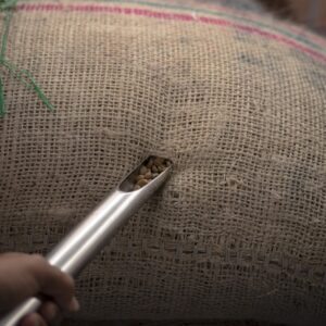 Aus einem Kaffeesack werden testweise Bohnen entnommen.
